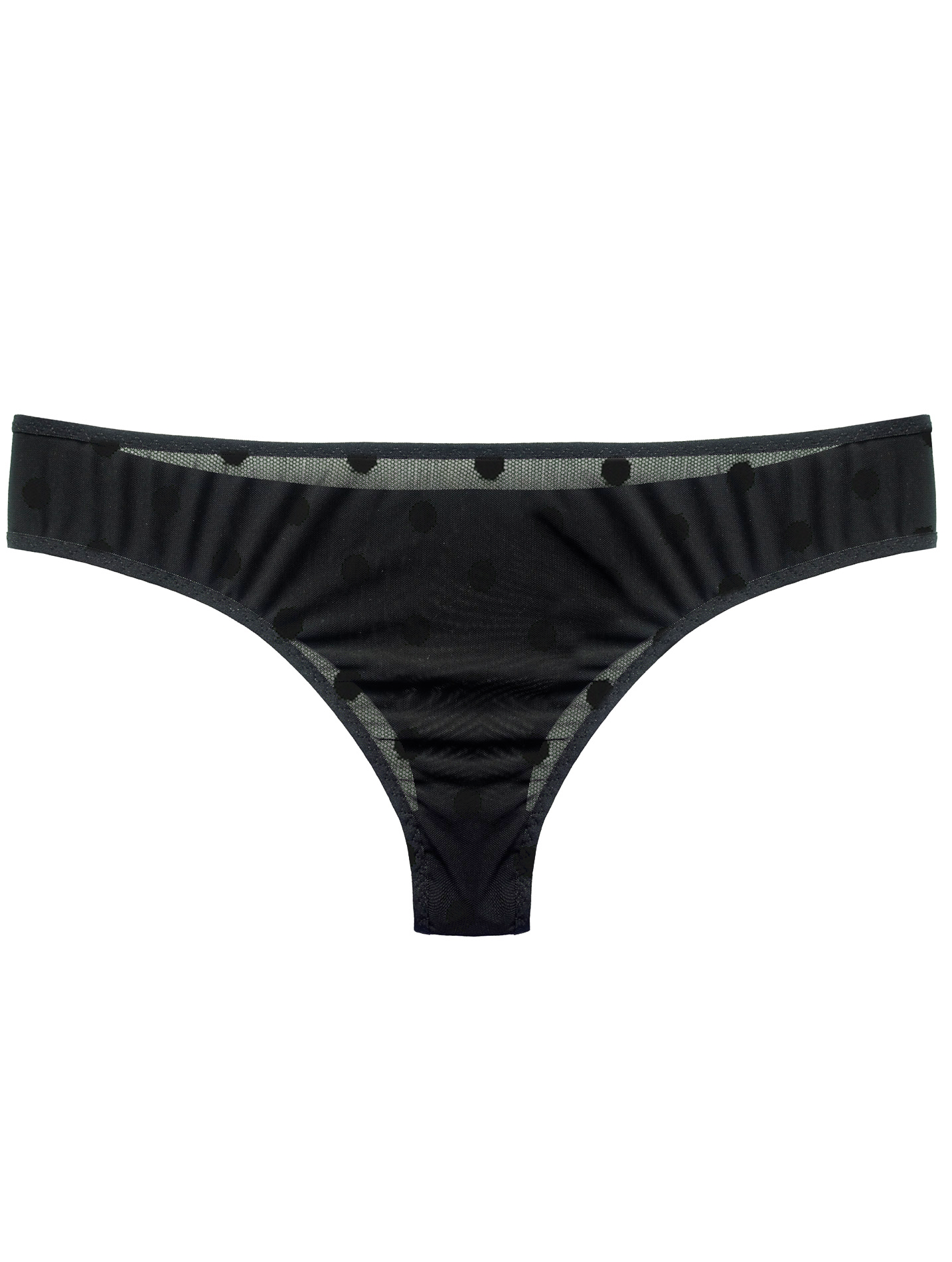 Amelia tanga panties