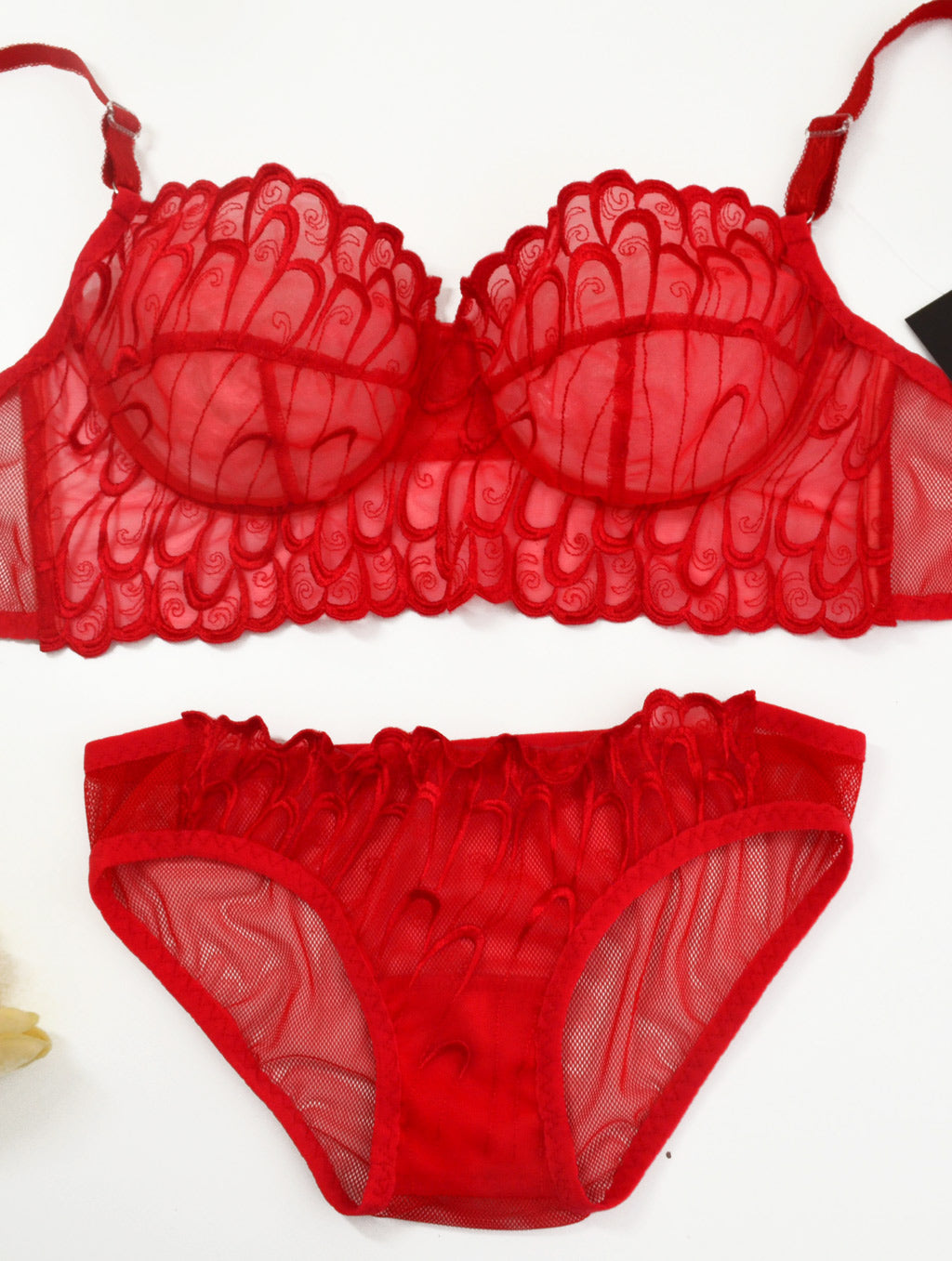 LEAH red lace and sheer mesh panties