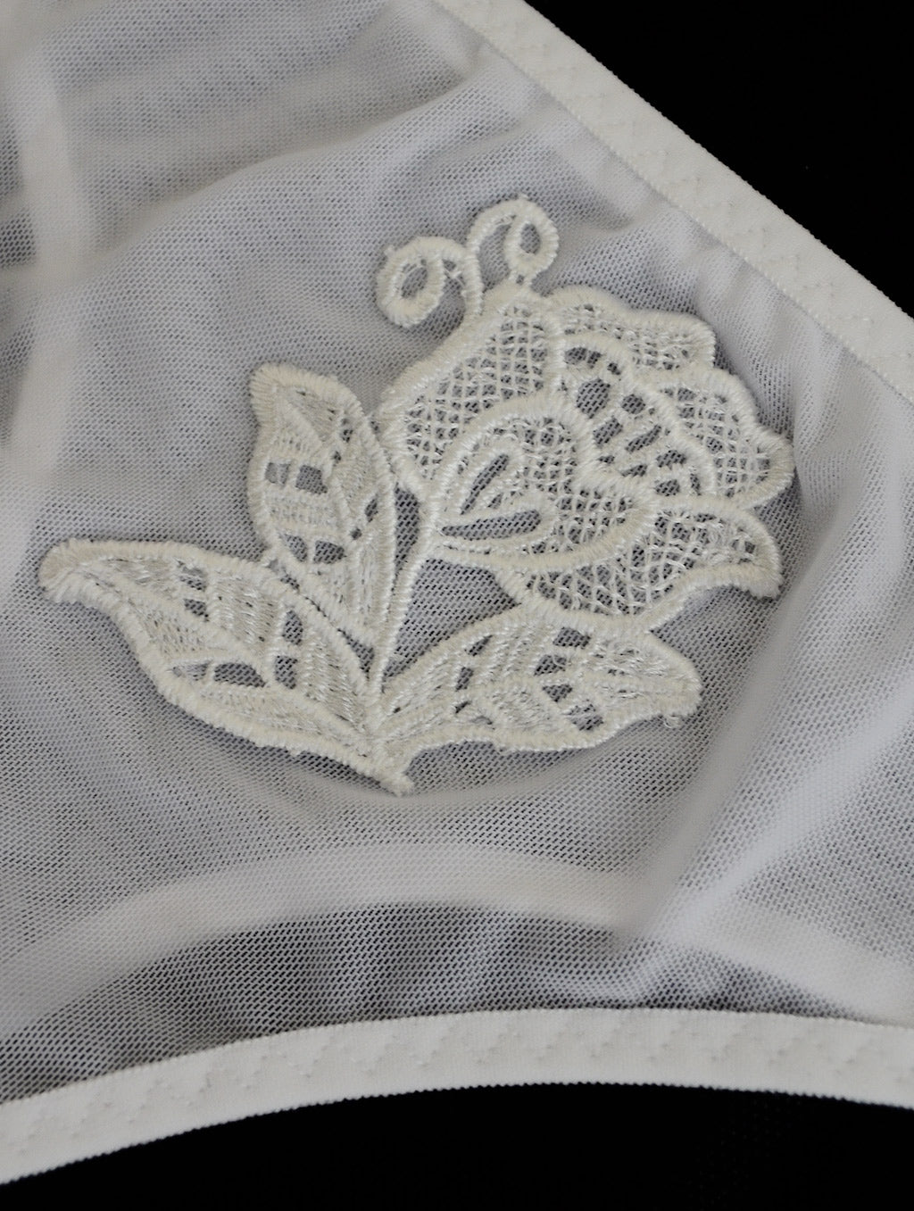 Sheer mesh tanga panties with applique
